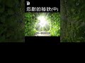 忍耐的秘訣（中）secret of endurance 2 derekprince derekprinceministries 葉光明 葉光明事工