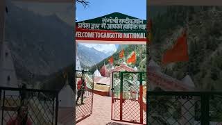 Gangotri National Park #ganga #gangotri #gomukh #shorts #short #shortvideo