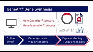 GeneArt Express Cloning Service