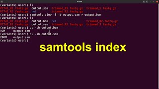 Samtools tutorial - index a bam file | samtools tutorial