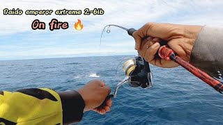 Rod daido emperor extreme 2-6lb Vs Blue Marlin