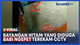 Heboh! Bayangan Hitam yang Diduga Babi Ngepet terekam CCTV di Meulaboh Saat Bulan Ramadhan