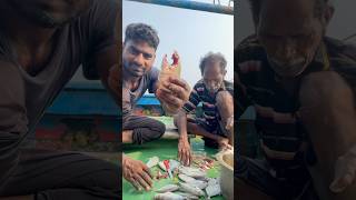 బోటు లో చేపలు పులుసు కోసం చేపలు కటింగ్ #fishing #shorts #fishcurry #subscribe 🙏❤️