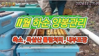 2024년 11월 하순 양봉관리#beekeeper #honeybee #꿀 #양봉 #분양 (2024.11.27 우주양봉 이근일)