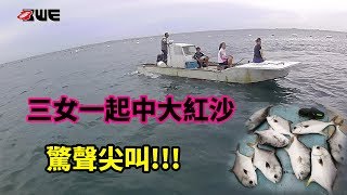 一艘船3女同時中大紅沙!! 驚聲尖叫(澎湖釣魚 Shore jigging エギング 軟絲 アオリイカ Eging 花枝 餌木 夜釣小管  釣魚 Taiwan 箱網 釣紅沙)