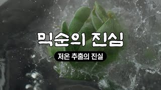 mixsoon l [믹순의 진심] - 저온 추출의 진실