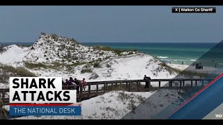 String of shark attacks reported in Florida; beaches close