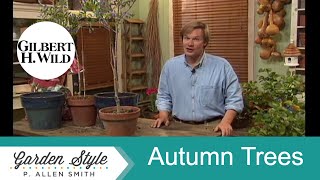 Autumn Leaves 🍂 PLUS Tree Planting and Care Tips | Garden Style (902)