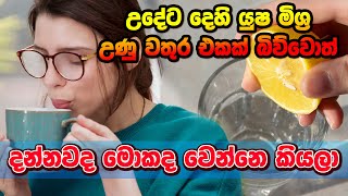 උදේට දෙහි යුෂ මිශ්‍ර උණු වතුර එකක් බිව්වොත් මොකද වෙන්නෙ #lemon #hot_water #drinkingwater #benifits