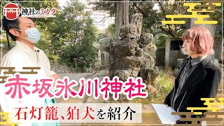 【神社巡り】歴史あるたくさんの狛犬と石灯籠、奇跡的に残存していた赤坂氷川山車・大銀杏の木を紹介！【赤坂氷川神社#2】