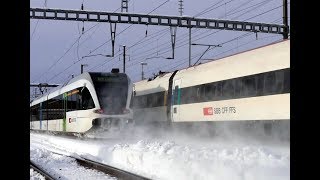 Züge Im Schnee - St. Gallen-Winkeln