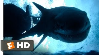 The Shallows (10/10) Movie CLIP - Impaled (2016) HD