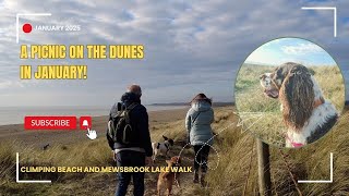 A PICNIC IN JANUARY on the dunes at Climping | Spring-like day #dogs