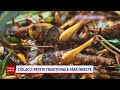 marcel ciolacu vrea să interzică făina de insecte în produsele tradiționale