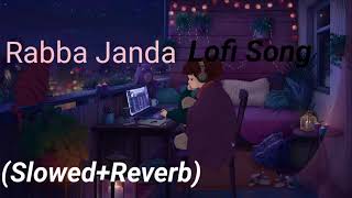 Rabba Janda Lofi song (Slowed+Reverb)#lofi #lofisongs