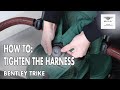 How to Tighten the Harness on the Bentley Trike