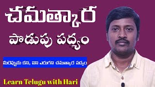 చమత్కార పొడుపు పద్యం Learn telugu with Hari