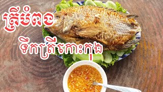 ត្រីបំពងទឹកត្រីកោះកុង | fish Cooking Food