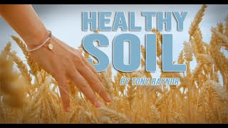 Healthy Soil by Tony Raynor