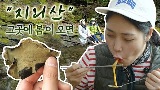 지리산🌲, 그곳에 봄이 오면🍄 | 전국을 달린다-창원 (KBS 2021.05.12,수 방송)