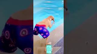 Funny dogs in hilarious videos that make you laugh -  FUN part 13 #shorts #funny #dog #memes