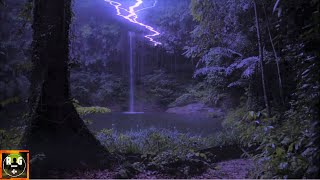 Jungle Thunderstorm at Night | Rain, Thunder and Animal Sounds for Sleeping, Studying, Relaxing