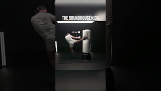 The Roundhouse Kick | Step by Step Breakdown | Slow Motion  #fitness #fightcamp #kickboxing