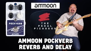 AMMOON POCKVERB REVERB AND DELAY