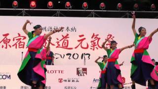 原宿表参道　元気祭　スーパーよさこい2013　＜未来童＞　静岡県