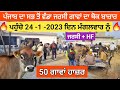 62807-13934  , 50 ਜਰਸੀ ਗਾਵਾਂ ਵਿਕਾਊ