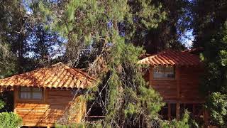 Cabañas en el Bosque Eco Hotel Niguito 2021, Santa Elena - Hoteles Colombia