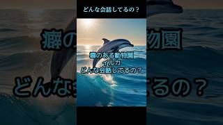 イルカどんな会話してるの？【動物雑学】クスッと笑えるユーモラスな特徴を紹介しています。#shorts