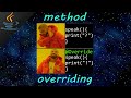 Java method overriding 🙅‍♂️