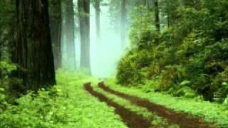 The Unseen Force
