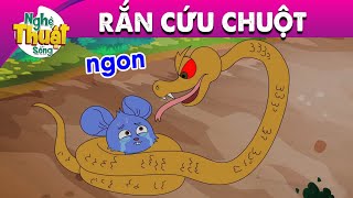 RẮN CỨU CHUỘT - PHIM HOẠT HÌNH - KHOẢNH KHẮC KỲ DIỆU - TRUYỆN CỔ TÍCH - TỔNG HỢP PHIM HAY