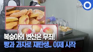 복숭아의 변신.. 빵과 과자로 재탄생 / OBS 뉴스