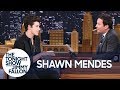 Shawn Mendes Got Roughed Up by Drake's Security Team