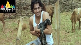 Nuvvostanante Nenoddantana Telugu Movie Part 11/14 | Siddharth, Trisha | Sri Balaji Video