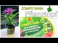 COMPO SANA Pflanztopf/Pflanzen einfach pflanzen/Produkttest/Produktvorstellung