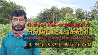 ലോക്കഡോൺ കാലത്ത്   ജൈവ പച്ചക്കറി.....ആലത്തൂർ  വാനുരിൽ   സ്വന്തമായി  കൃഷി ചെയ്ത പ്രകാശൻ