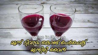 വെറും 3 ദിവസം കൊണ്ട് അടിപൊളി മുന്തിരി വൈൻ || Instant Grape wine in 3 days || Homemade Grape wine