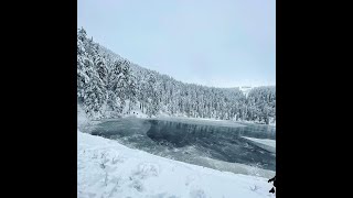 Mummelsee im Winter  ❄️☃️