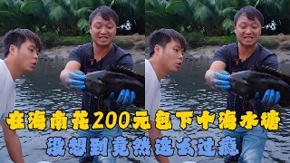 在海南花2000元包下一个海水塘，没想到竟然这么过瘾？#户外抓鱼 #户外捕鱼 #大表哥抓鱼 #乡村生活 #农村生活