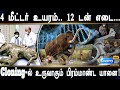 Cloning Mammoth | 40 ஆயிரம் ஆண்டுகளுக்கு முன்பு அழிந்த யானையை  உருவாக்கும் ஆராய்ச்சியாளர்கள்