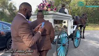 Callie Lanise Jones - The Last Mile Of The Way…