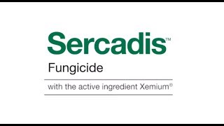 The benefits of Sercadis Fungicide | BASF