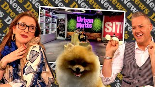 Would Drew Splurge to Take Her Pups to a Luxury Hotel for Dogs? | Drew's News