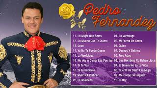 Pedro Fernandez Sus Grandes Exitos - Top 20 Mejores Canciones De Pedro Fernandez  GRANDES EXITOS
