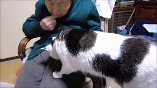 ネコが95歳のばあちゃんを驚かす！交流