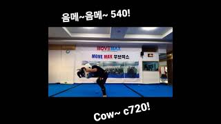 (관장님 쇼츠)음메~ 540!! Cow~ c720